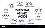 Essential ___ Acids