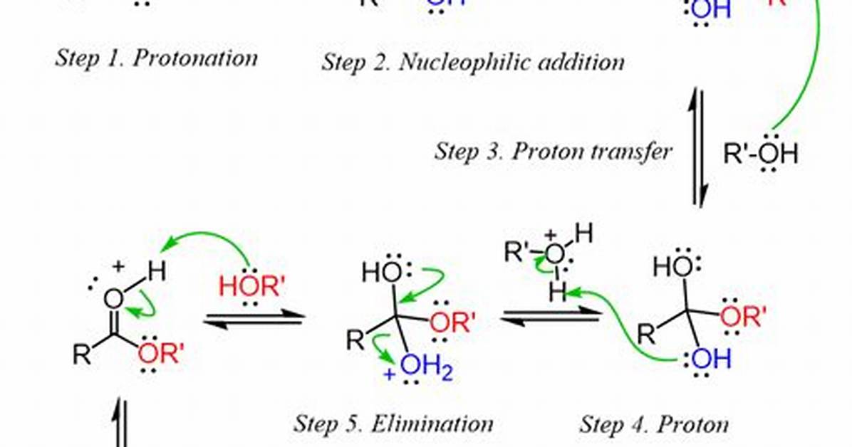 Esterification Mechanism
