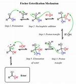 Esterification Mechanism