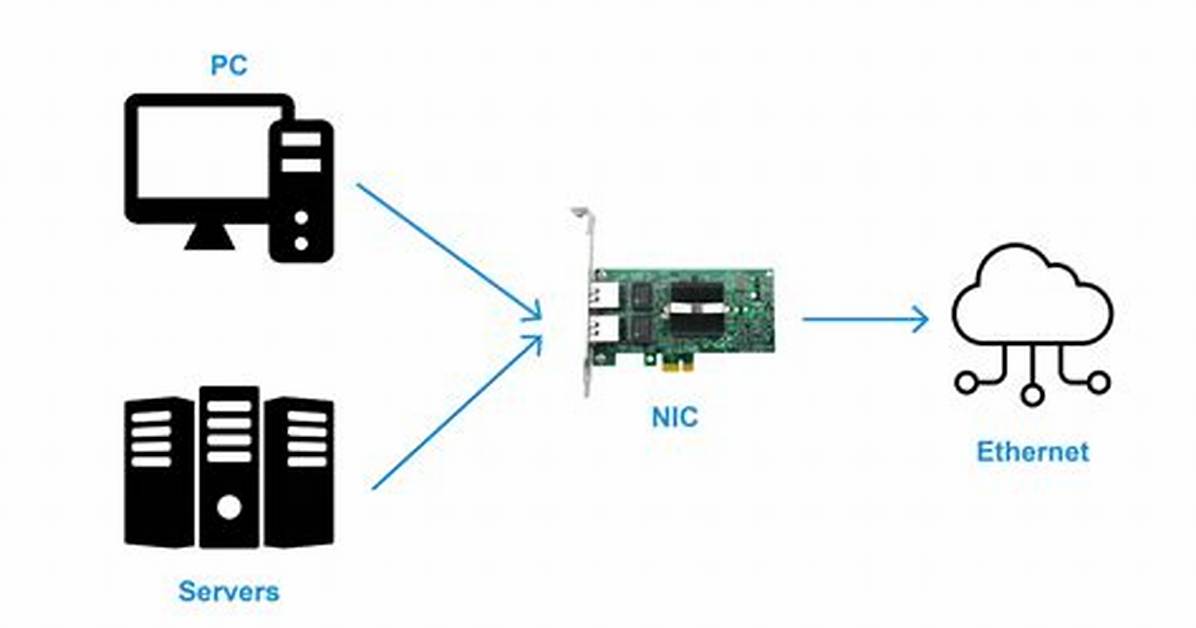 Etc/Network/Interface Empty No Internet Connection