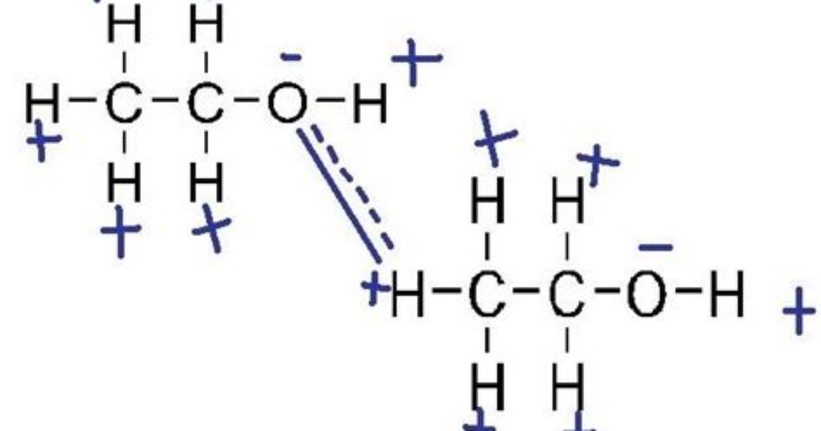 Ethanol Intermolecular Forces