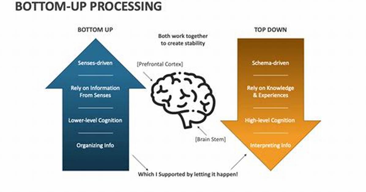 Example of Bottom up Processing