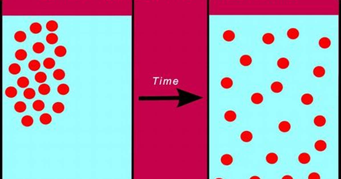 Examples of Diffusion