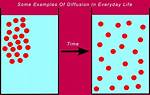Examples of Diffusion