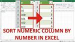 Excel Sort Numeric Column by Number