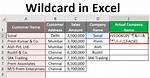 Excel Wildcard