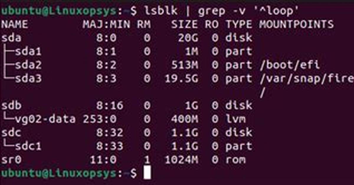 Exclude Loop* Snap Devices from Lsblk Output?