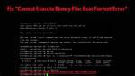 Exec Format Error with "Data" File Format