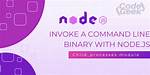 Execute a Command Line Binary with Node. Js