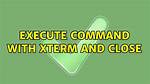 Execute Command with Xterm and Close