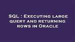 Executing Large Query and Returning Rows in Oracle