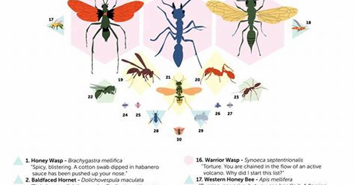 Executioner Wasp Sting