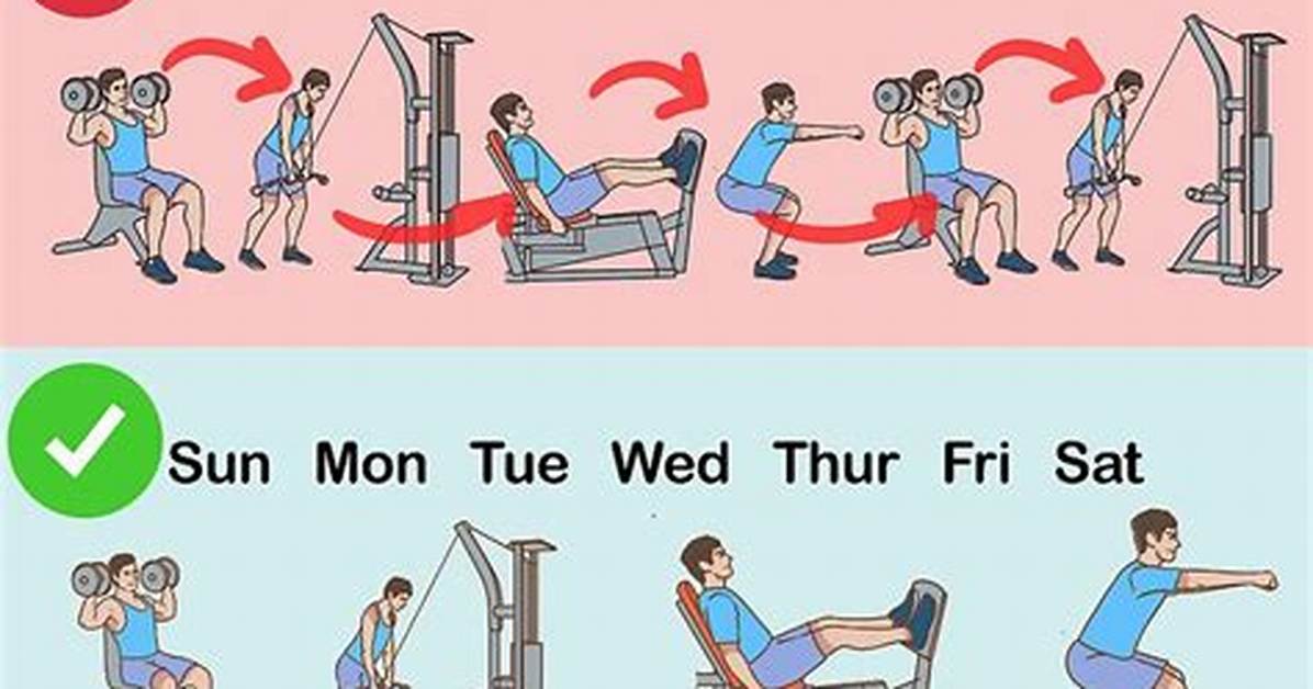 Exercise Frequency Refers To