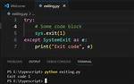 Exit Codes in Python