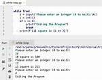 Exit While Loop in Python