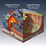 Exogenic Forces