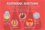 Exothermic Process Example