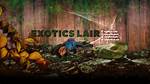 Exotics Lair