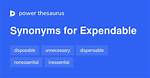 Expendable Synonym