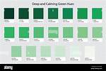 Exploring Hues and Hex Codes