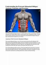 External Oblique Function