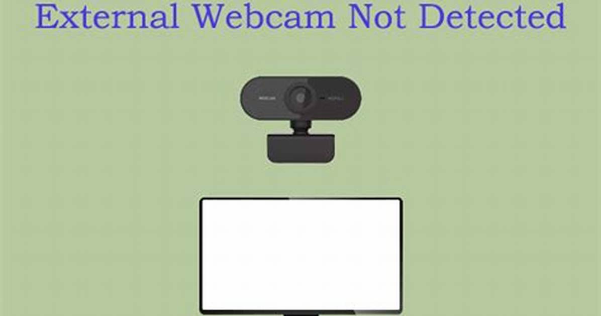 External Webcam Not Detected