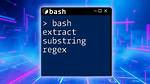 Extract Substring Using Regexp in Plain Bash