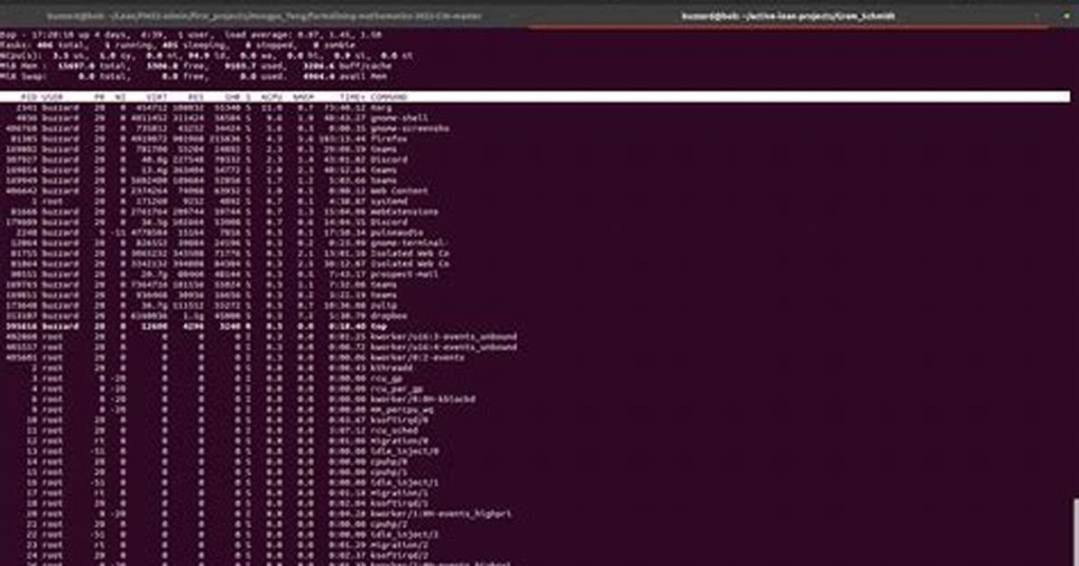Extremely Large "Virt" Memory Usage Reported by `Top`