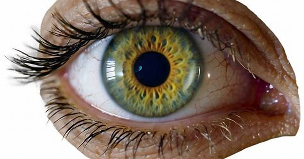 Eye Transparent
