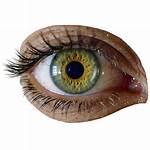 Eye Transparent