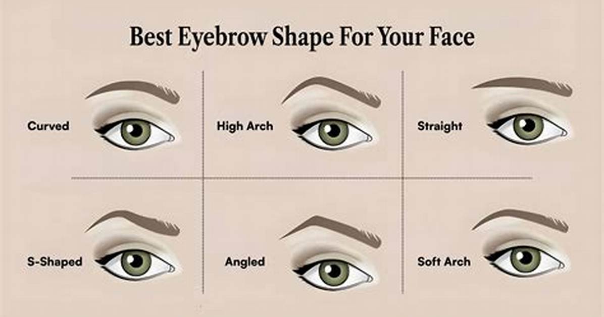 Eyebrow's Shape