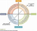 Eysenck Theory