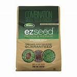 Ez Seed