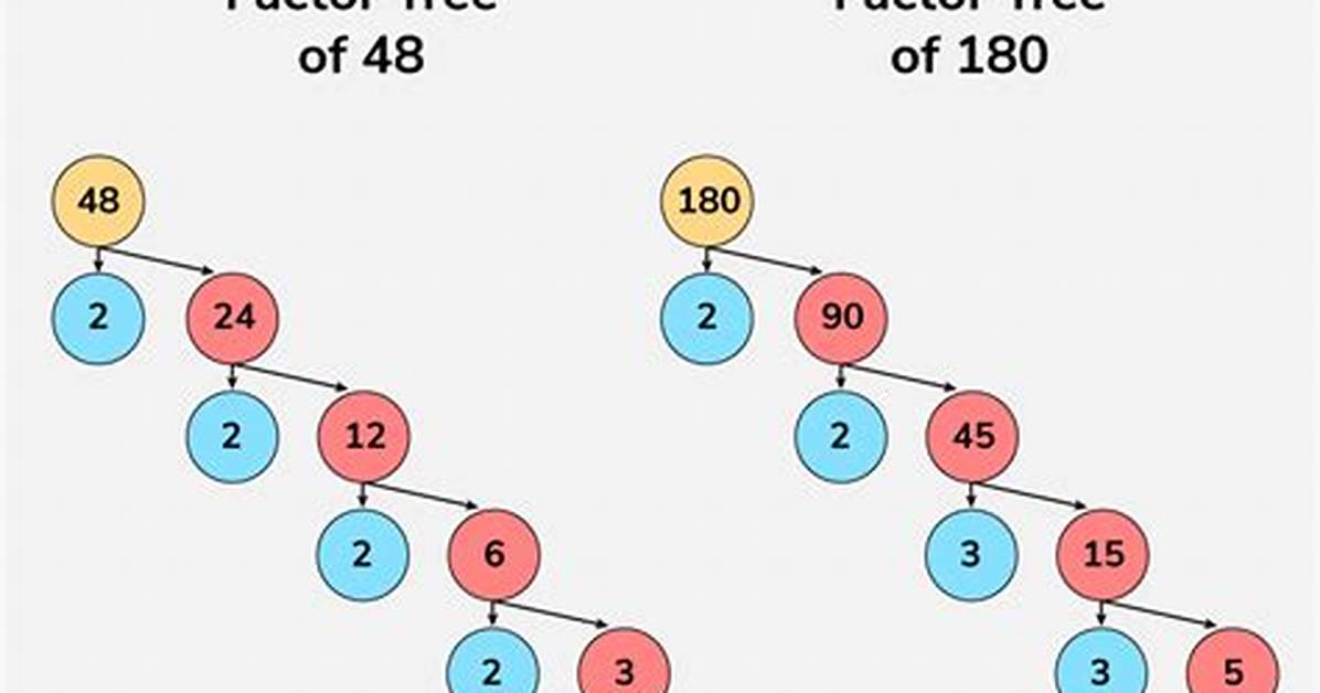 Factor Tree