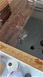 ___ Fail (Big Screwup)