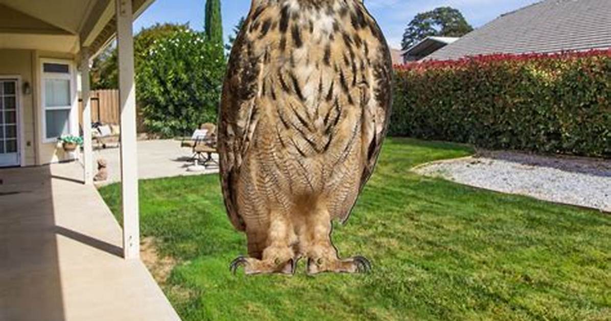 Fake Owl