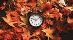 Fall Time