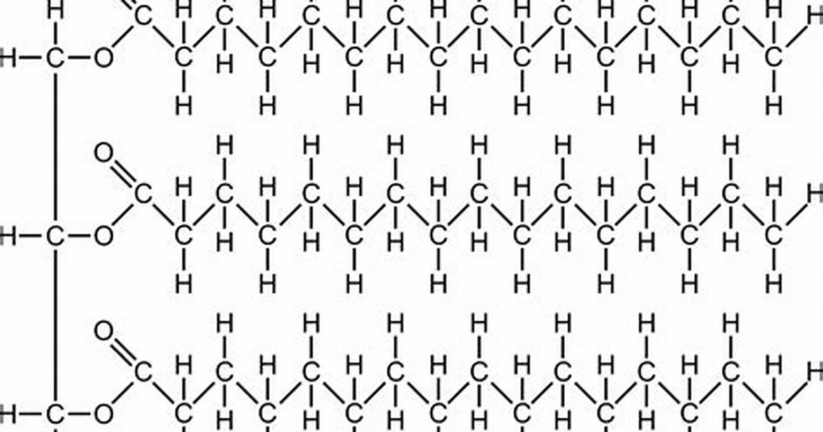 Fat Molecule Structure