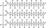Fat Molecule Structure