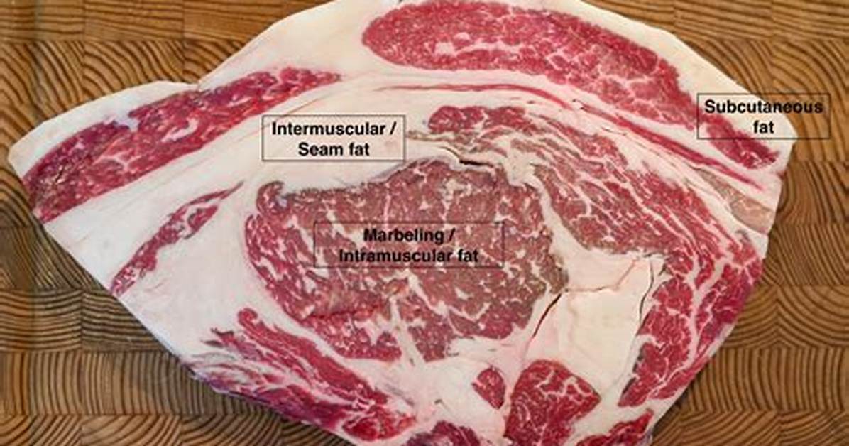 Fatty Steak