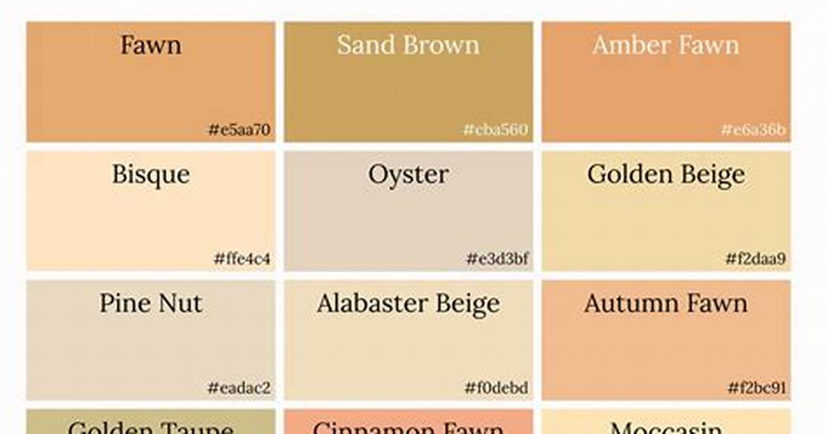 Fawn Colour