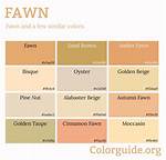Fawn Colour