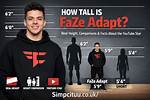 Faze Adapt Height
