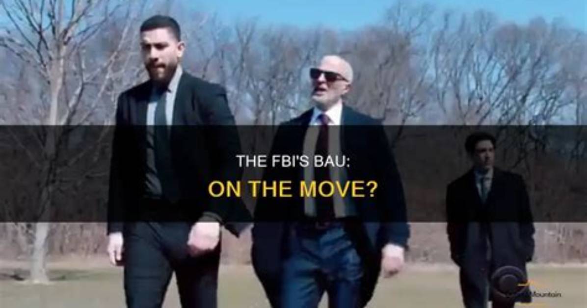 Fbi Bau