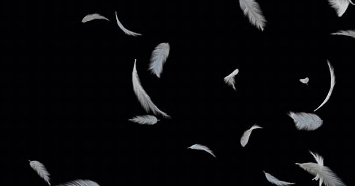 Feather Falling