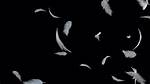 Feather Falling