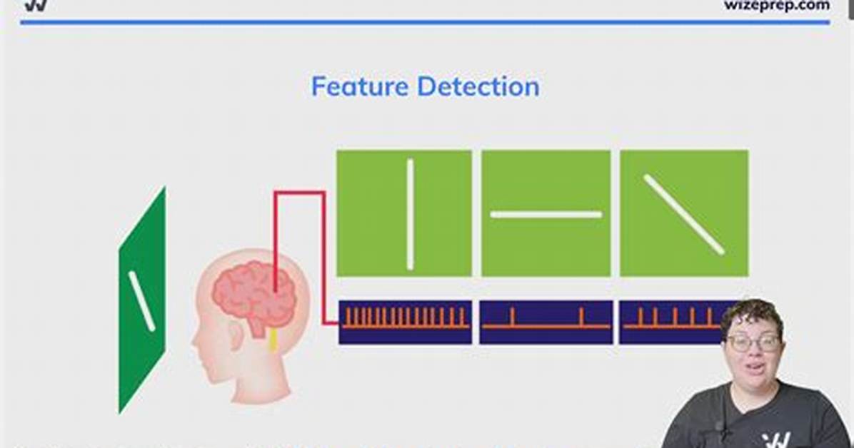 Feature Detectors