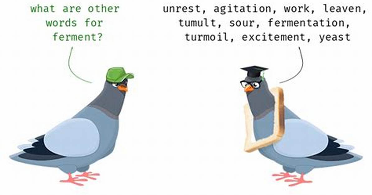 Ferment Synonym