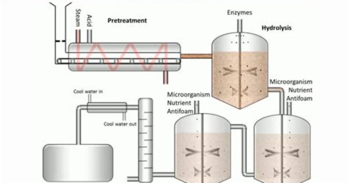 Fermentation Microbiology