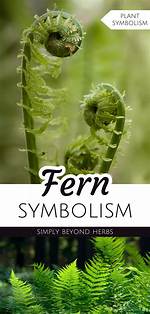 Fern Meaning